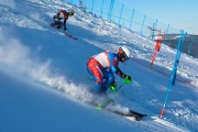 FIS Baltijas kauss 2020 paralēlais slaloms, Foto: E.Lukšo