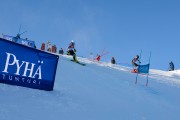 FIS Baltijas kauss 2020 paralēlais slaloms, Foto: E.Lukšo