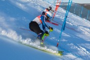 FIS Baltijas kauss 2020 paralēlais slaloms, Foto: E.Lukšo