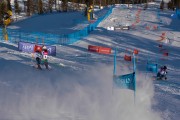 FIS Baltijas kauss 2020 paralēlais slaloms, Foto: E.Lukšo