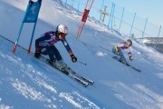 FIS Baltijas kauss 2020 paralēlais slaloms, Foto: E.Lukšo