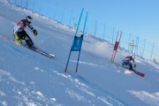 FIS Baltijas kauss 2020 paralēlais slaloms, Foto: E.Lukšo