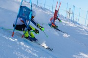 FIS Baltijas kauss 2020 paralēlais slaloms, Foto: E.Lukšo