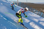 FIS Baltijas kauss 2020 paralēlais slaloms, Foto: E.Lukšo