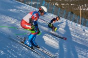 FIS Baltijas kauss 2020 paralēlais slaloms, Foto: E.Lukšo