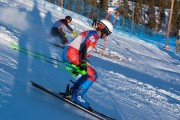 FIS Baltijas kauss 2020 paralēlais slaloms, Foto: E.Lukšo