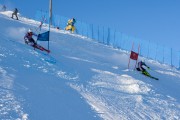 FIS Baltijas kauss 2020 paralēlais slaloms, Foto: E.Lukšo