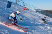 FIS Baltijas kauss 2020 paralēlais slaloms, Foto: E.Lukšo