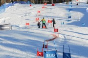 FIS Baltijas kauss 2020 paralēlais slaloms, Foto: E.Lukšo