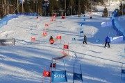 FIS Baltijas kauss 2020 paralēlais slaloms, Foto: E.Lukšo