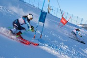 FIS Baltijas kauss 2020 paralēlais slaloms, Foto: E.Lukšo