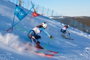 FIS Baltijas kauss 2020 paralēlais slaloms, Foto: E.Lukšo