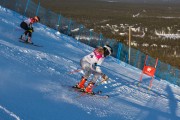 FIS Baltijas kauss 2020 paralēlais slaloms, Foto: E.Lukšo