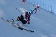 FIS Baltijas kauss 2020 paralēlais slaloms, Foto: E.Lukšo