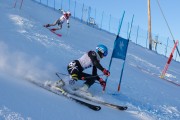 FIS Baltijas kauss 2020 paralēlais slaloms, Foto: E.Lukšo