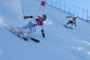 FIS Baltijas kauss 2020 paralēlais slaloms, Foto: E.Lukšo