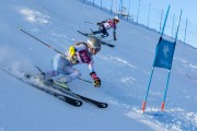 FIS Baltijas kauss 2020 paralēlais slaloms, Foto: E.Lukšo