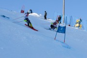 FIS Baltijas kauss 2020 paralēlais slaloms, Foto: E.Lukšo