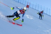 FIS Baltijas kauss 2020 paralēlais slaloms, Foto: E.Lukšo