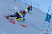 FIS Baltijas kauss 2020 paralēlais slaloms, Foto: E.Lukšo