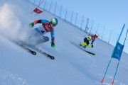 FIS Baltijas kauss 2020 paralēlais slaloms, Foto: E.Lukšo