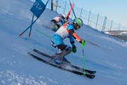 FIS Baltijas kauss 2020 paralēlais slaloms, Foto: E.Lukšo