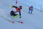 FIS Baltijas kauss 2020 paralēlais slaloms, Foto: E.Lukšo