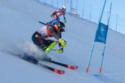 FIS Baltijas kauss 2020 paralēlais slaloms, Foto: E.Lukšo