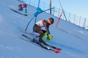 FIS Baltijas kauss 2020 paralēlais slaloms, Foto: E.Lukšo