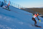 FIS Baltijas kauss 2020 paralēlais slaloms, Foto: E.Lukšo