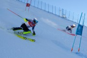 FIS Baltijas kauss 2020 paralēlais slaloms, Foto: E.Lukšo