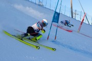 FIS Baltijas kauss 2020 paralēlais slaloms, Foto: E.Lukšo