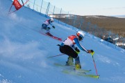 FIS Baltijas kauss 2020 paralēlais slaloms, Foto: E.Lukšo