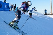 FIS Baltijas kauss 2020 paralēlais slaloms, Foto: E.Lukšo