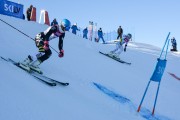 FIS Baltijas kauss 2020 paralēlais slaloms, Foto: E.Lukšo