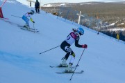 FIS Baltijas kauss 2020 paralēlais slaloms, Foto: E.Lukšo