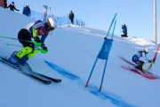 FIS Baltijas kauss 2020 paralēlais slaloms, Foto: E.Lukšo