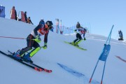 FIS Baltijas kauss 2020 paralēlais slaloms, Foto: E.Lukšo