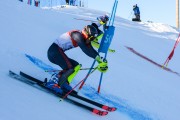 FIS Baltijas kauss 2020 paralēlais slaloms, Foto: E.Lukšo