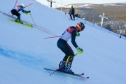 FIS Baltijas kauss 2020 paralēlais slaloms, Foto: E.Lukšo