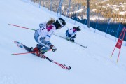 FIS Baltijas kauss 2020 paralēlais slaloms, Foto: E.Lukšo