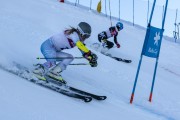 FIS Baltijas kauss 2020 paralēlais slaloms, Foto: E.Lukšo