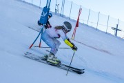 FIS Baltijas kauss 2020 paralēlais slaloms, Foto: E.Lukšo