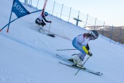 FIS Baltijas kauss 2020 paralēlais slaloms, Foto: E.Lukšo