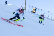 FIS Baltijas kauss 2020 paralēlais slaloms, Foto: E.Lukšo