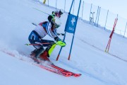 FIS Baltijas kauss 2020 paralēlais slaloms, Foto: E.Lukšo