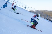 FIS Baltijas kauss 2020 paralēlais slaloms, Foto: E.Lukšo