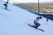 FIS Baltijas kauss 2020 paralēlais slaloms, Foto: E.Lukšo