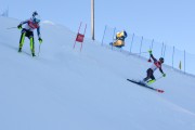 FIS Baltijas kauss 2020 paralēlais slaloms, Foto: E.Lukšo