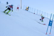 FIS Baltijas kauss 2020 paralēlais slaloms, Foto: E.Lukšo